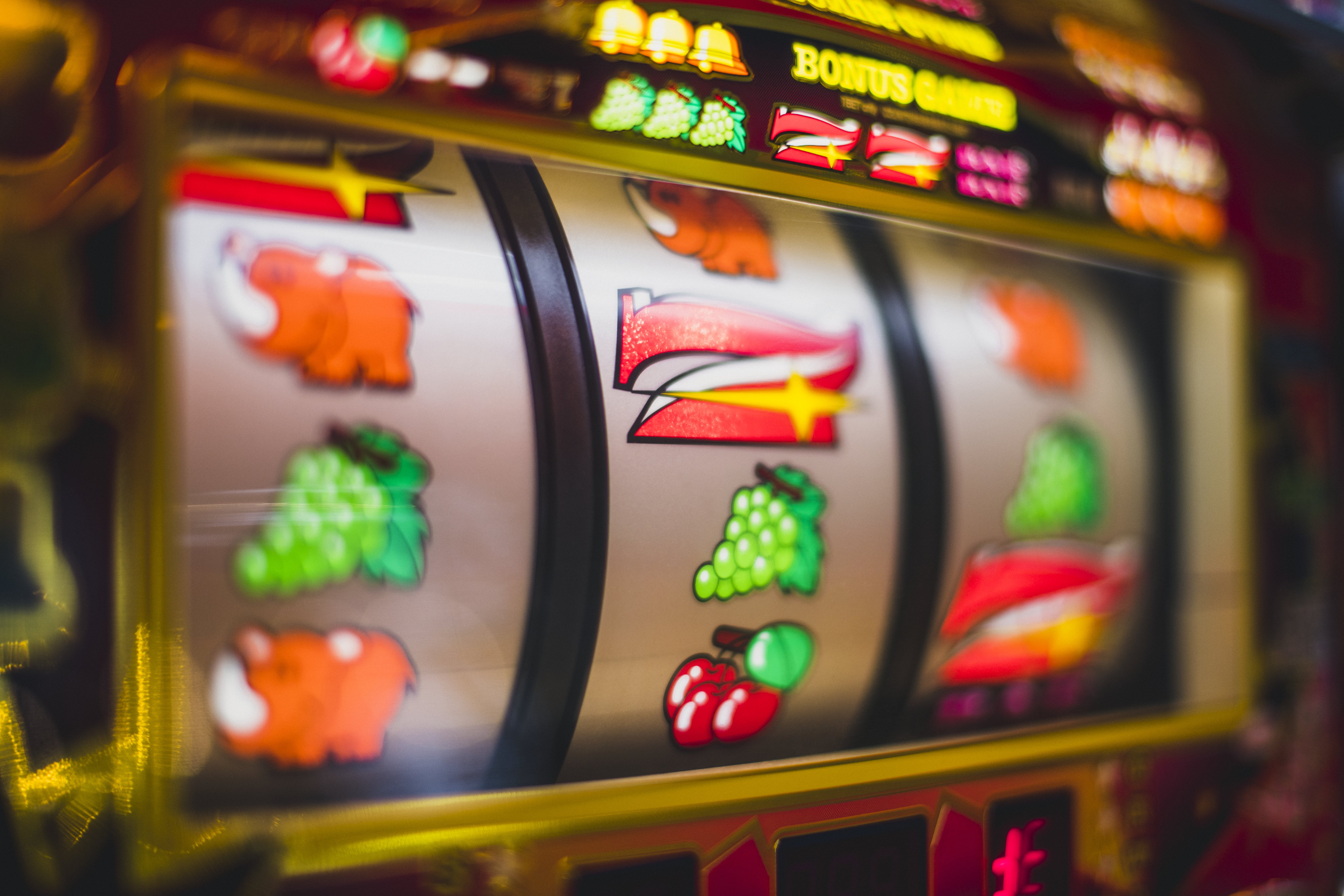 k666 Sportsbook